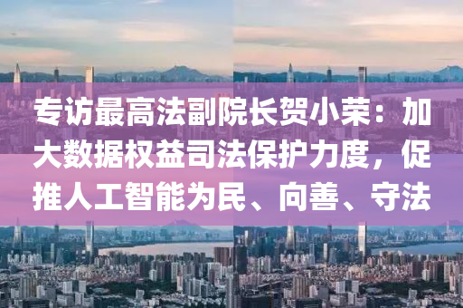 专访最高法副院长贺小荣：加大数据权益司法保护力度，促推人工智能为民、向善、守法