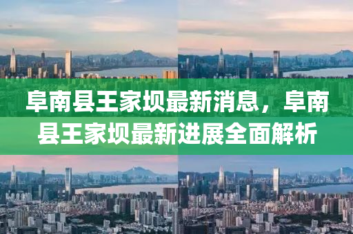 阜南县王家坝最新消息，阜南县王家坝最新进展全面解析