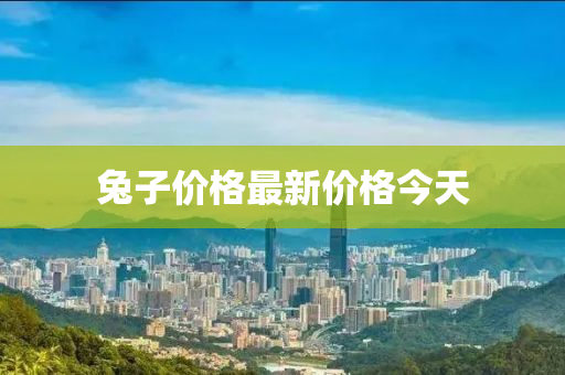 兔子价格最新价格今天