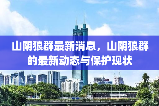 山阴狼群最新消息，山阴狼群的最新动态与保护现状