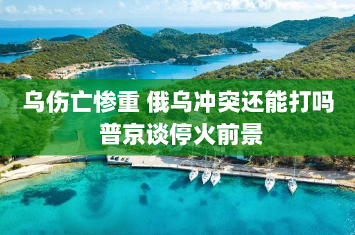 乌伤亡惨重 俄乌冲突还能打吗 普京谈停火前景
