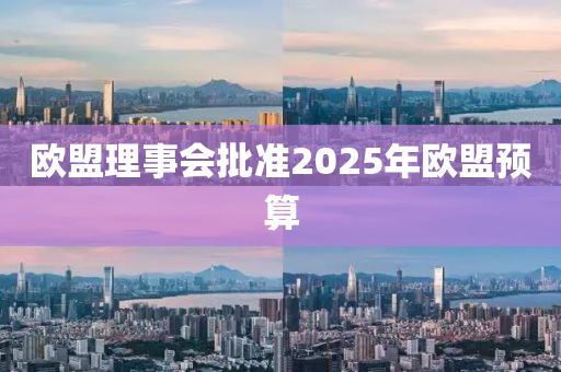 欧盟理事会批准2025年欧盟预算