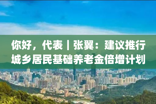 你好，代表｜张翼：建议推行城乡居民基础养老金倍增计划