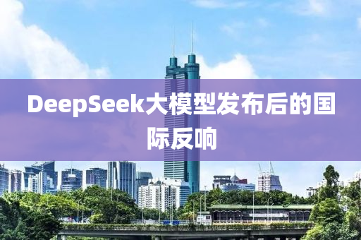 DeepSeek大模型发布后的国际反响