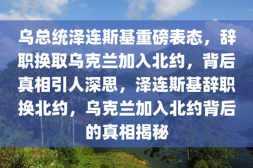 乌总统泽连斯基重磅表态，辞职换取乌克兰加入北约，背后真相引人深思，泽连斯基辞职换北约，乌克兰加入北约背后的真相揭秘