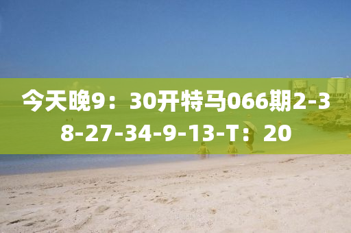 今天晚9：30开特马066期2-38-27-34-9-13-T：20