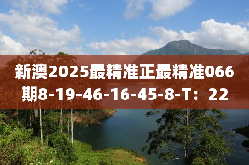 新澳2025最精准正最精准066期8-19-46-16-45-8-T：22