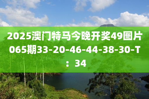 2025澳门特马今晚开奖49图片065期33-20-46-44-38-30-T：34