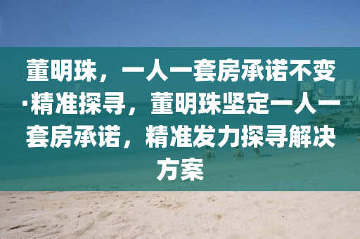 董明珠，一人一套房承诺不变·精准探寻，董明珠坚定一人一套房承诺，精准发力探寻解决方案