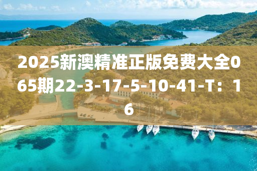2025新澳精准正版免费大全065期22-3-17-5-10-41-T：16
