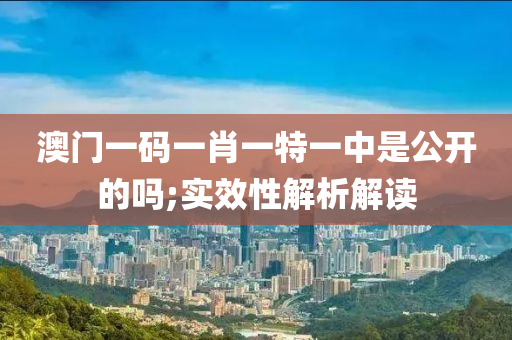 澳门一码一肖一特一中是公开的吗;实效性解析解读