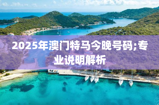 2025年澳门特马今晚号码;专业说明解析