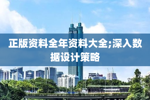 正版资料全年资料大全;深入数据设计策略