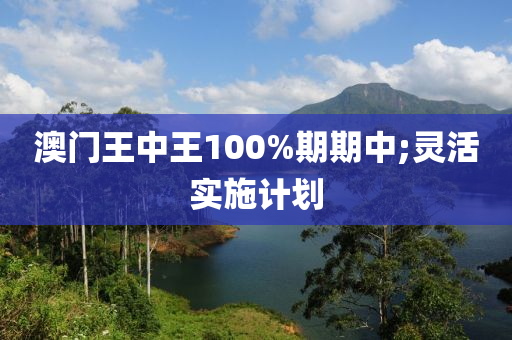 澳门王中王100%期期中;灵活实施计划