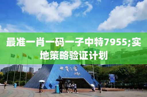 最准一肖一码一子中特7955;实地策略验证计划