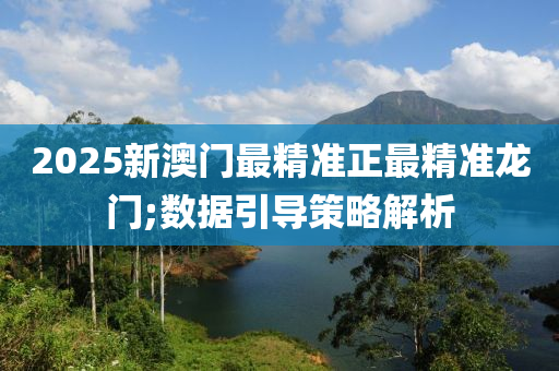 2025新澳门最精准正最精准龙门;数据引导策略解析
