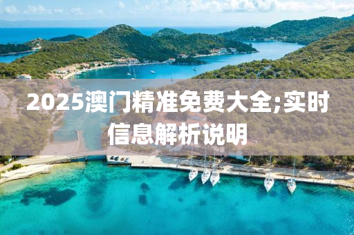 2025澳门精准免费大全;实时信息解析说明