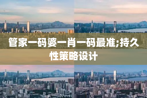 管家一码婆一肖一码最准;持久性策略设计