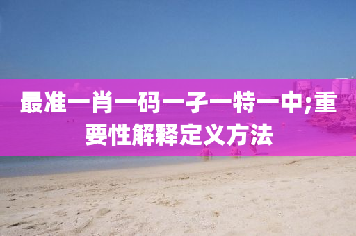 最准一肖一码一孑一特一中;重要性解释定义方法