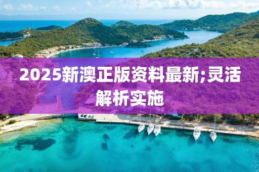2025新澳正版资料最新;灵活解析实施