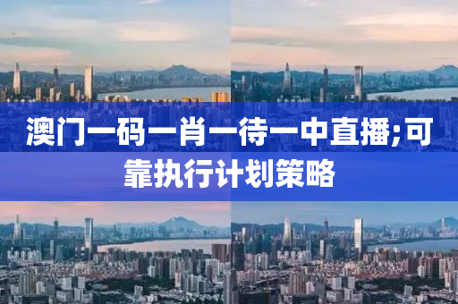 澳门一码一肖一待一中直播;可靠执行计划策略