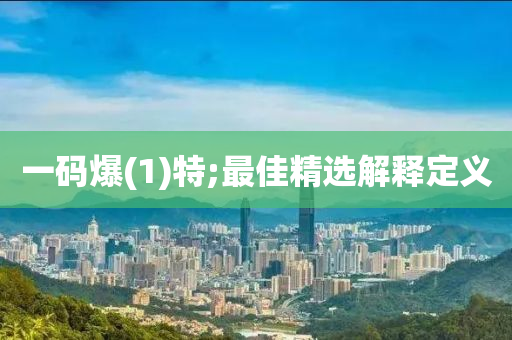 一码爆(1)特;最佳精选解释定义