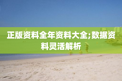正版资料全年资料大全;数据资料灵活解析
