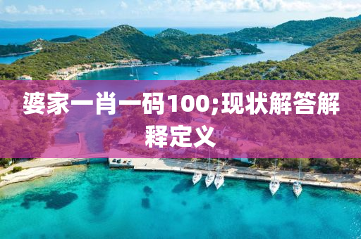 婆家一肖一码100;现状解答解释定义