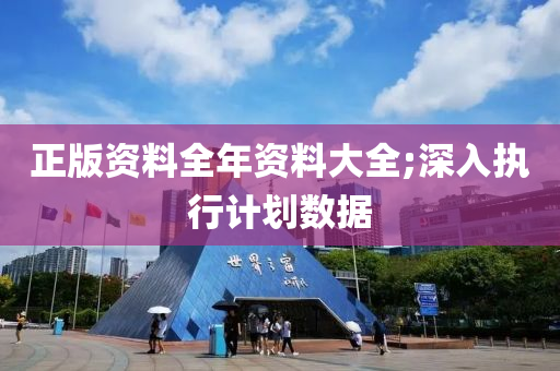 正版资料全年资料大全;深入执行计划数据