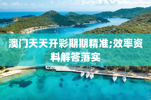 澳门天天开彩期期精准;效率资料解答落实