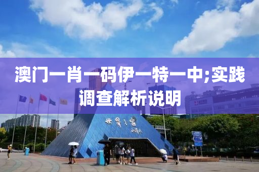 澳门一肖一码伊一特一中;实践调查解析说明