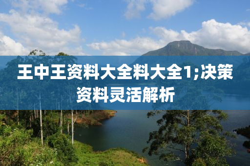 王中王资料大全料大全1;决策资料灵活解析