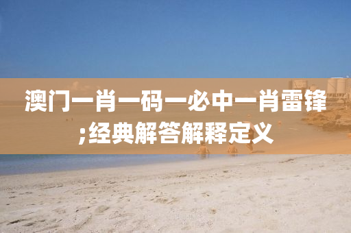 澳门一肖一码一必中一肖雷锋;经典解答解释定义