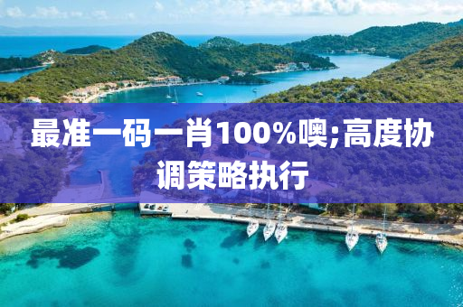 最准一码一肖100%噢;高度协调策略执行