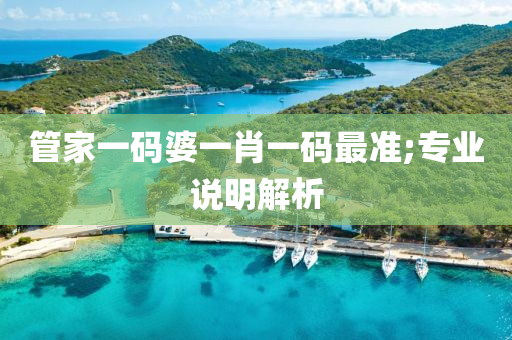 管家一码婆一肖一码最准;专业说明解析