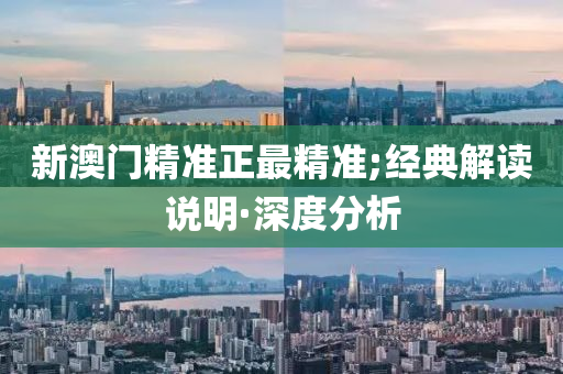 新澳门精准正最精准;经典解读说明·深度分析