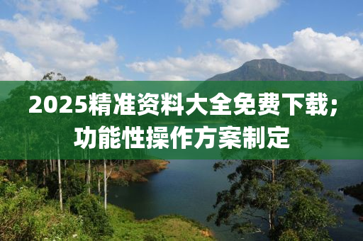 2025精准资料大全免费下载;功能性操作方案制定