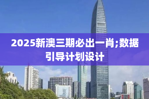 2025新澳三期必出一肖;数据引导计划设计