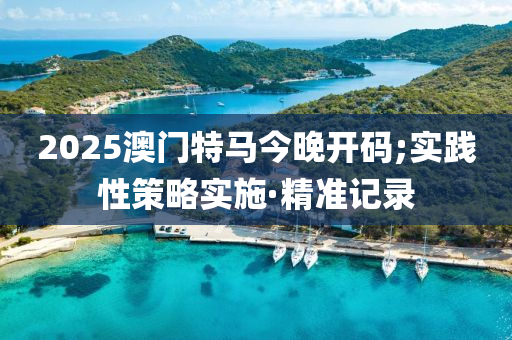 2025澳门特马今晚开码;实践性策略实施·精准记录