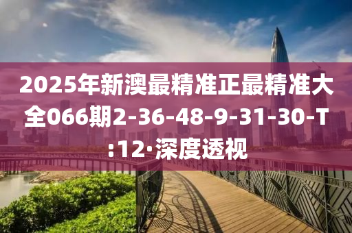 2025年新澳最精准正最精准大全066期2-36-48-9-31-30-T:12·深度透视