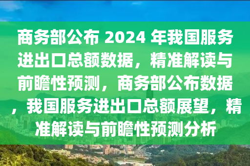 商务部公布 2024 年我国服务进出口总额数据，精准解读与前瞻性预测，商务部公布数据，我国服务进出口总额展望，精准解读与前瞻性预测分析
