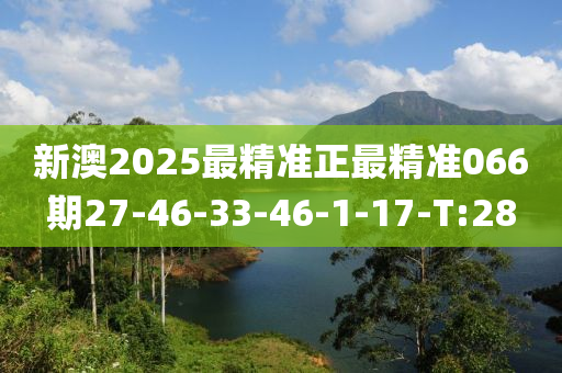 新澳2025最精准正最精准066期27-46-33-46-1-17-T:28