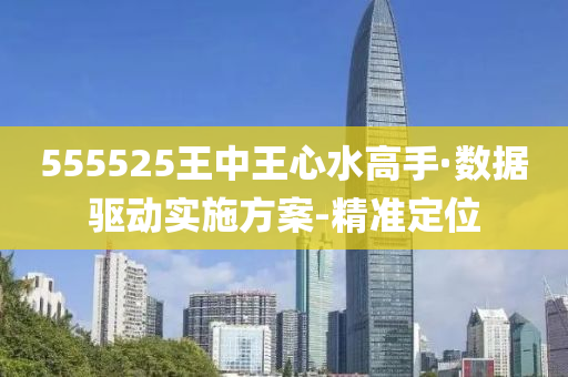 555525王中王心水高手·数据驱动实施方案-精准定位