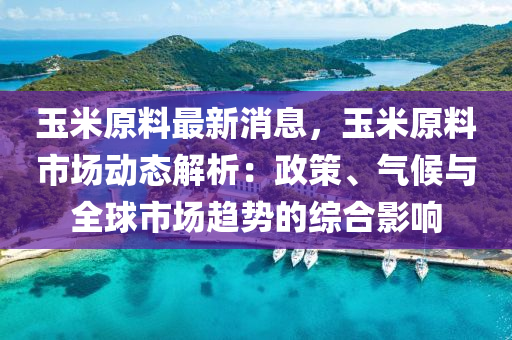 玉米原料最新消息，玉米原料市场动态解析：政策、气候与全球市场趋势的综合影响