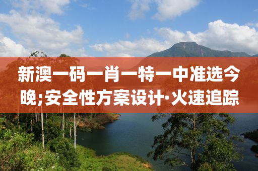 新澳一码一肖一特一中准选今晚;安全性方案设计·火速追踪