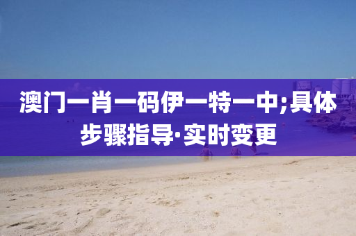 澳门一肖一码伊一特一中;具体步骤指导·实时变更