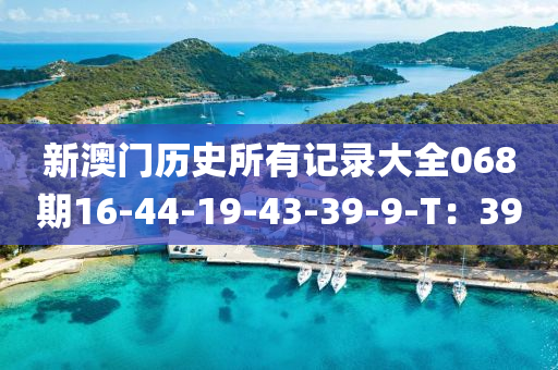 新澳门历史所有记录大全068期16-44-19-43-39-9-T：39