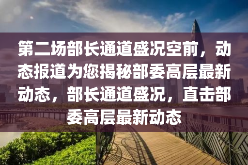 第二场部长通道盛况空前，动态报道为您揭秘部委高层最新动态，部长通道盛况，直击部委高层最新动态