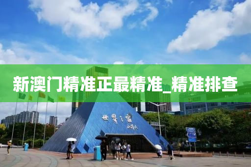 新澳门精准正最精准_精准排查