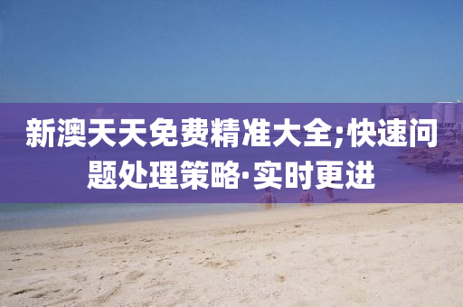 新澳天天免费精准大全;快速问题处理策略·实时更进
